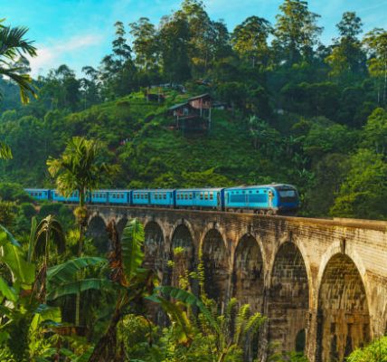 How to Explore the Arctic and Antarctica: A Polar Travel Guide