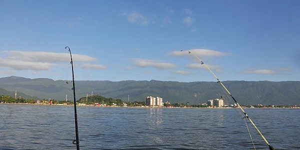 Unforgettable Adventures with Reel Groovy Experiences