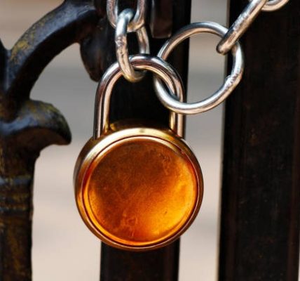 Wie Sie mit den richtigen Zaeune langfristig profitieren