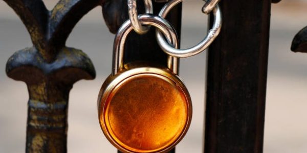 Wie Sie mit den richtigen Zaeune langfristig profitieren