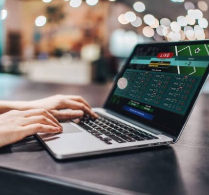 Understanding the Main Options Available With online casino kuwait